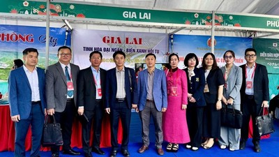 Gia Lai xác định 7 định hướng trong chương trình thu hút đầu tư trong năm 2026