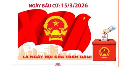 Bầu cử Quốc hội khóa XVI và HĐND các cấp: Công tác lãnh đạo chỉ đạo bầu cử được triển khai đồng bộ, quyết liệt