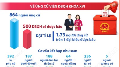 Bầu cử Quốc hội và HĐND các cấp: Công tác nhân sự được chuẩn bị chặt chẽ, bảo đảm cơ cấu theo quy định