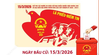 Bầu cử Quốc hội khóa XVI và HĐND các cấp: Các tổ chức phụ trách bầu cử được thành lập theo đúng quy định