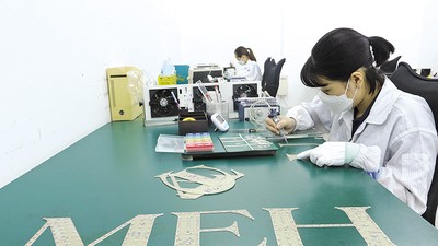 Vốn FDI vào Việt Nam tiếp tục duy trì xu hướng tích cực cả về quy mô vốn và cơ cấu đầu tư. Trong ảnh: Nhà máy sản xuất linh kiện đèn led của Daikan (Nhật Bản) tại Khu công nghiệp Amata (Đồng Nai). Ảnh: Lê Toàn