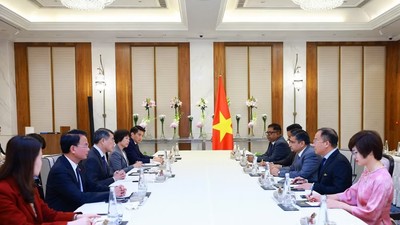 Thủ tướng Lê Minh Hưng tiếp ông Sanjay Dhawan, Phó Chủ tịch Tập đoàn ACME của Ấn Độ. (Ảnh: Dương Giang/TTXVN)