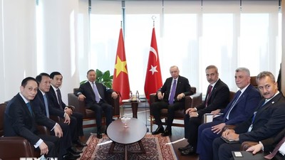 Tổng Bí thư, Chủ tịch nước Tô Lâm gặp Tổng thống Thổ Nhĩ Kỳ Recep Tayyip Erdogan. (Ảnh: Thống Nhất/TTXVN)