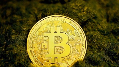 Dòng tiền quay lại Bitcoin khi vàng và dầu biến động mạnh
