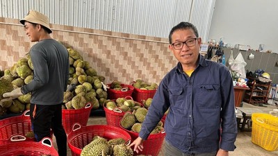 Sầu riêng Việt Nam thắng lớn tại thị trường Trung Quốc