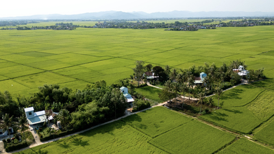 Những ngôi nhà an toàn được ADB và Chính phủ tài trợ được xây dựng lại trong chiến dịch Quang Trung tại khu phố Đông Thạnh, phường Đông Hòa tỉnh Đắk Lắk. Ảnh: Trần Việt Tuấn/ADB