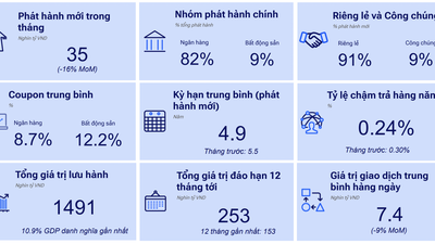 Những điểm nhấn của Thị trường Trái phiếu Doanh nghiệp tháng 8/2026