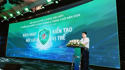 MIC lãi trước thuế 245,2 tỷ đồng 