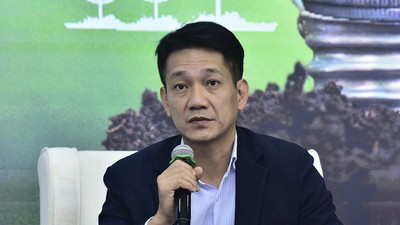Ông Nguyễn Việt Long, Phó tổng giám đốc phụ trách dịch vụ tư vấn, EY Việt Nam - Ảnh: Dũng Minh