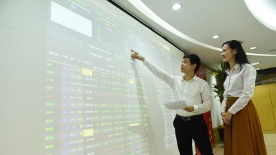 Chuyên gia tư vấn chiến lược đầu tư trong tuần cận Tết