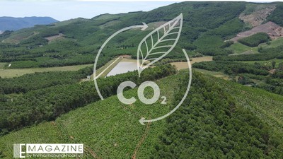 Agribank - mắt xích tài chính trong chuỗi giá trị tín chỉ carbon