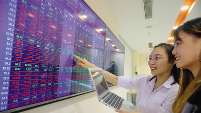 Cổ phiếu “họ Vin” đóng góp khoảng 51% mức tăng của VN-Index trong năm 2025, theo thống kê của FiinTrade.