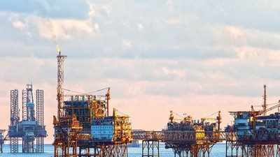 Bức tranh kinh doanh, đầu tư của các “sếu đầu đàn”