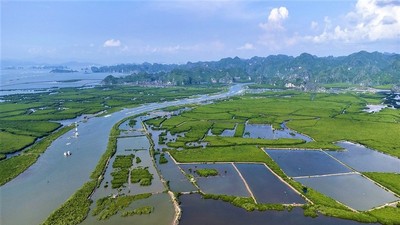 HNX ký kết biên bản phối hợp, hoàn thiện hạ tầng vận hành sàn giao dịch các-bon