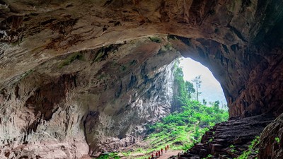 VQG Phong Nha- Kẻ Bàng tiếp tục là điểm đến hấp dẫn với du khách trong năm 2025. Ảnh: Jungle Boss