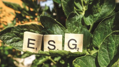 ESG - yếu tố thúc đẩy mang tính chiến lược
