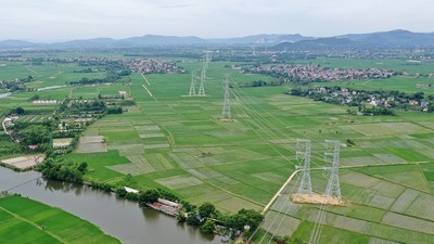 Thêm dự án đường dây 500 kV do EVNNPT làm chủ đầu tư tại Gia Lai 