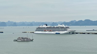 Du lịch tàu biển Quảng Ninh nhộn nhịp, sôi động với sự xuất hiện liên tiếp của các chuyến tàu lớn. Ảnh: Quỳnh Nga