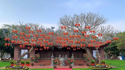 Chùa Phượng Vũ được khởi dựng khi Thiền sư Từ Đạo Hạnh (1072 - 1117) dừng chân tại vùng đất Vũ Thư