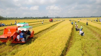 Bộ Tài chính đề xuất nâng mức hỗ trợ phí bảo hiểm nông nghiệp lên tối đa 95% với hộ nghèo.