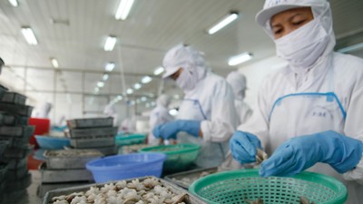 Các doanh nghiệp có năng lực thích ứng tốt với sự thay đổi thuế quan của Mỹ được kỳ vọng duy trì đà tăng trưởng và cải thiện vị thế cạnh tranh