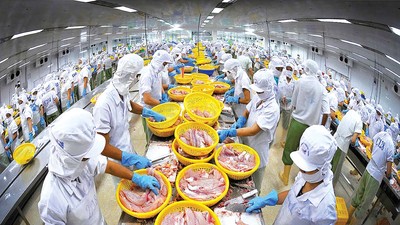 Thủy sản là một trong những ngành có kim ngạch xuất khẩu lớn sang Mỹ, các doanh nghiệp đã quen với áp lực thuế từ thị trường này 