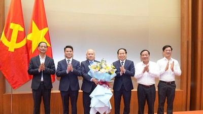 Thứ trưởng Bộ Tài chính Đỗ Thành Trung được điều động, chỉ định giữ chức Phó Bí thư Thành ủy Hải Phòng 