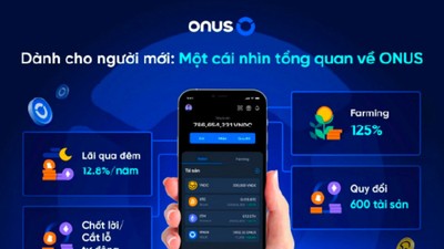 Bao nhiêu triệu người Việt "sập sàn" ONUS của Eric Vương? 