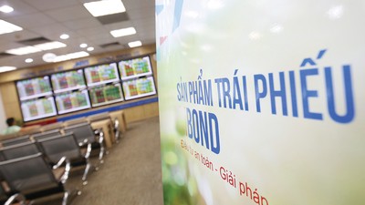 Trái phiếu nội tệ thị trường mới nổi đã trở thành nạn nhân chính trong môi trường né tránh rủi ro