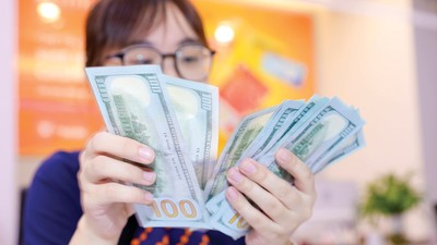 Đồng USD tăng giá đang tạo áp lực lên tỷ giá USD/VND