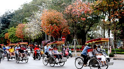 Quý 1/2026, Hà Nội đón 2,4 triệu lượt khách quốc tế, tăng mạnh 28,7%. Ảnh: Hồng Hạnh 