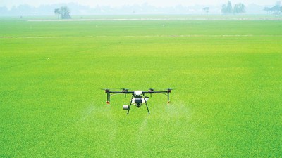 Chen chân trong “cuộc chơi” tỷ USD trên không 