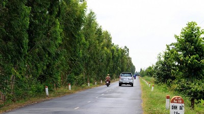 Một đoạn Quốc lộ 30 đoạn Hồng Ngự - Dinh Bà