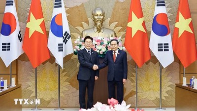 Chủ tịch Quốc hội Trần Thanh Mẫn hội kiến Tổng thống Hàn Quốc Lee Jae Myung. (Ảnh: Doãn Tấn/TTXVN)