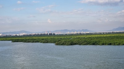 Quảng Ninh nghiên cứu, lựa chọn phương án tối ưu đầu tư xây dựng cầu Cửa Lục 2 