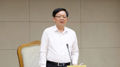 Hoàn thiện khung pháp lý thị trường carbon rừng, đẩy mạnh phân cấp cho địa phương 