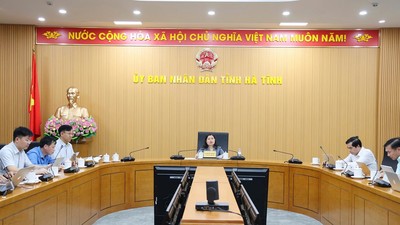 Bà Nguyễn Thị Nguyệt - Phó chủ tịch UBND tỉnh Hà Tĩnh chủ trì cuộc họp