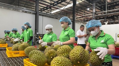 Nông sản Việt tăng tốc “nâng chuẩn” để đáp ứng quy định mới của Trung Quốc 