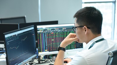 Việc VN-Index tăng điểm không đồng nghĩa mọi danh mục đều được phục hồi tương ứng
