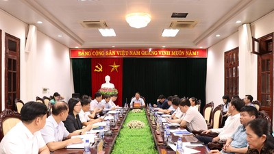 Phó Chủ tịch thường trực UBND tỉnh Trần Song Tùng chủ trì Hội nghị nghe báo cáo tiến độ triển khai các hoạt động Tuần Du lịch Ninh Bình 2026.Ảnh: Minh Huế