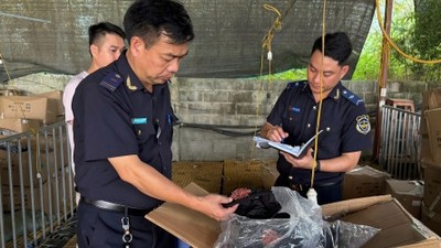 Công chức hải quan kiểm đếm hàng hoá vi phạm.