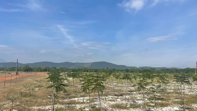 Khu vực thực hiện Dự án Đầu tư xây dựng kết cấu hạ tầng Khu công nghiệp Tam Anh 1 với tổng vốn đầu tư 1.500 tỷ đồng.