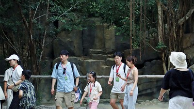 Ảnh: Du khách nước ngoài tham quan Safari Phú Quốc Ảnh: Linh Nguyễn 
