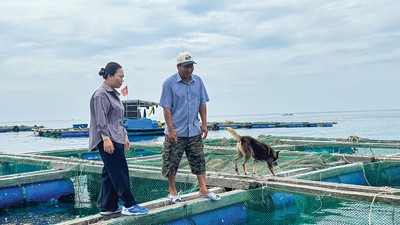 Ở đảo, cán bộ ngân hàng là người đồng hành với bà con trong cuộc mưu sinh. Trong ảnh: Bà Lê Thị Của, Giám đốc Agribank Chi nhánh Lý Sơn thăm lồng bè của gia đình anh Huỳnh Ngọc Thảo, thôn Đông An Hải, Đặc khu Lý Sơn 
