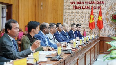 Tập đoàn Allied Green/Allied Biofuels (Úc) làm việc với UBND tỉnh Lâm Đồng để trao đổi và tìm hiểu việc đầu tư Dự án nhiên liệu hàng không bền vững trên địa bàn tỉnh. Ảnh: Xuân Anh - Hữu Tri
