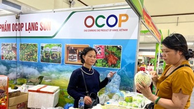 Na Lạng Sơn - sản phẩm OCOP được người tiêu dùng ưa chuộng.
