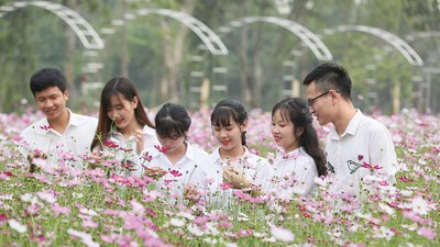 Lối sống xanh mở rộng dư địa cho tài chính bán lẻ