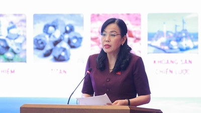Chủ nhiệm Ủy ban Khoa học, công nghệ và môi trường Nguyễn Thanh Hải phát biểu đề dẫn - Ảnh: HL . 