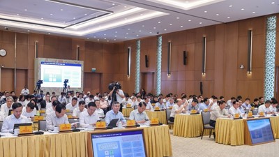 Các đại biểu tham dự phiên họp. Ảnh: VGP.