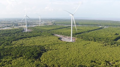 Đến nay, trên địa bàn TP. Cần Thơ đã có 9 nhà máy điện gió chính thức vận hành thương mại, đạt công suất 396 MW.